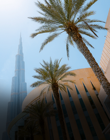 Freelance Visa in UAE