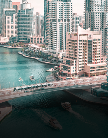 Business Setup Made Easy